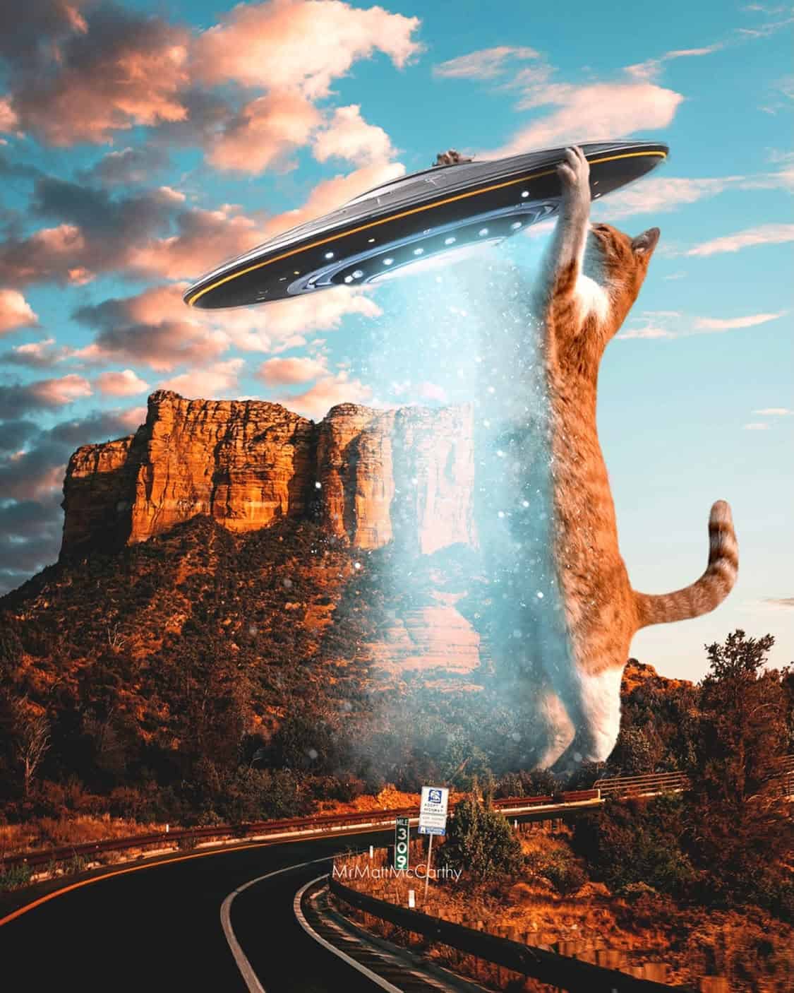 UFO abducting a giant cat in a desert landscape during sunset.