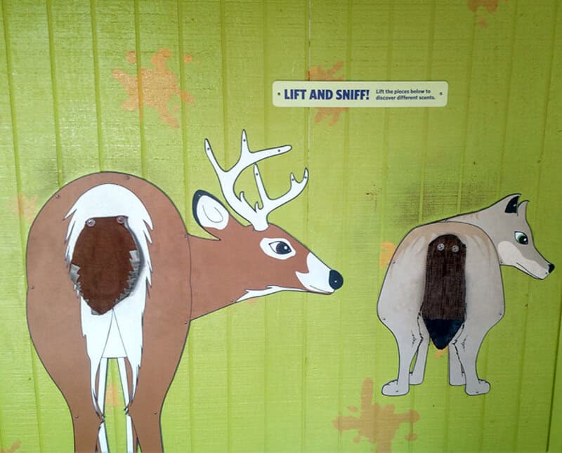 Hilarious design fails with cutouts of animals showing their insides.