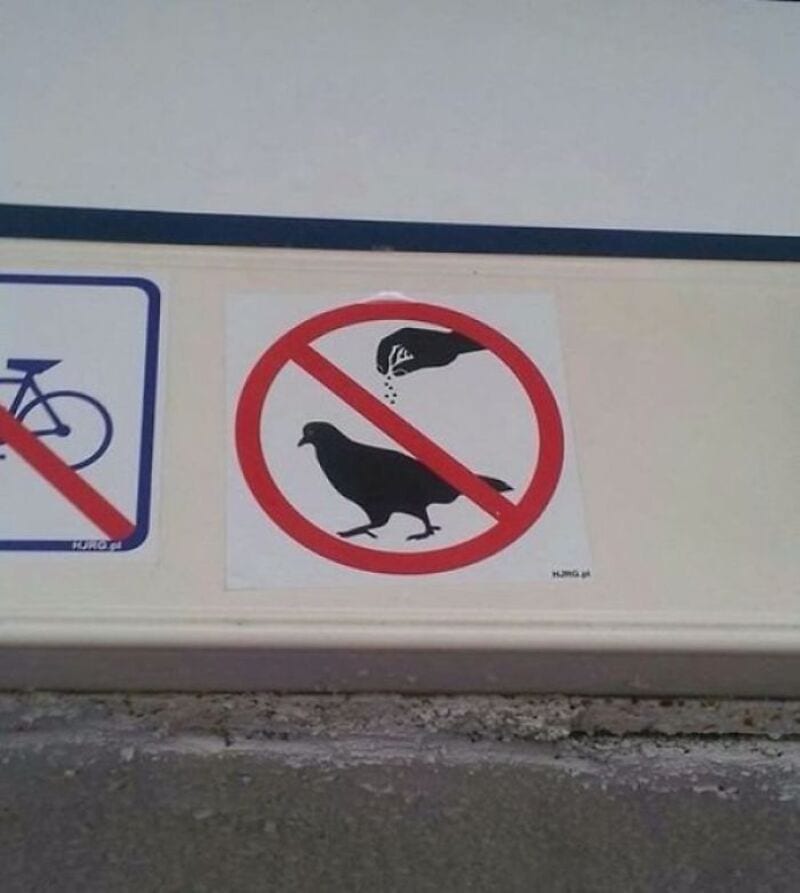 No dogs or birds allowed sign with a crossed-out bird and dog icon.