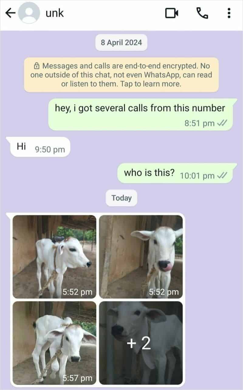 8 April 2024 message screenshot showing a chat with a locked message, user greeting, and four images.