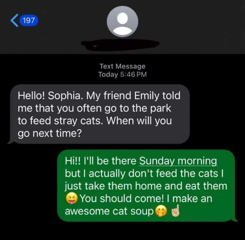 Hello! Sophia. My friend Emily told me that you often go to the park to feed stray cats. When will y.