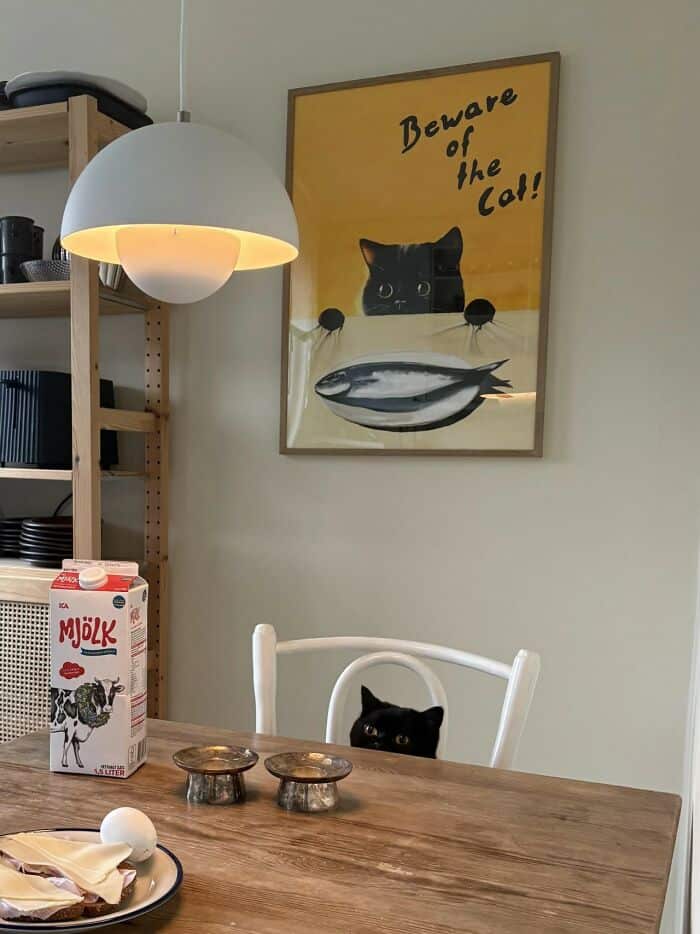 Beware of the Cat! - Black cat peeking over a white chair at a wooden table with food and drinks.