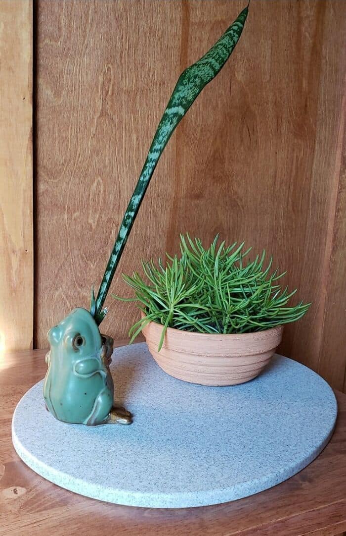 A lush green plant in a pink pot with a decorative frog figurine holding a long, curved stick.