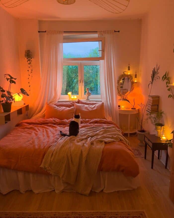 Cozy bedroom with warm lighting, plants, and a cat sitting on the bed facing the window.