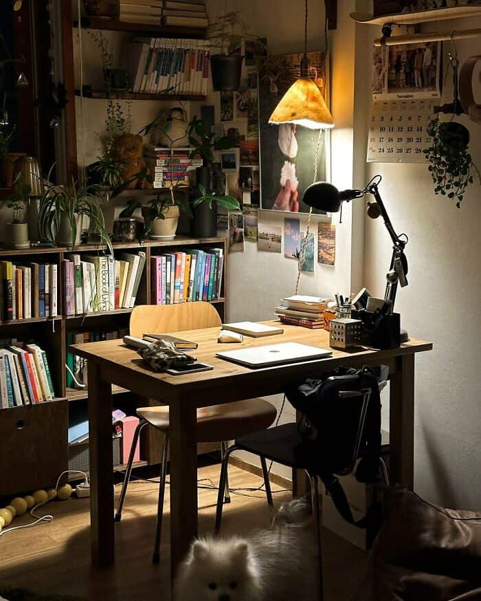 Cozy home office with books, plants, and warm lighting on a wooden desk.