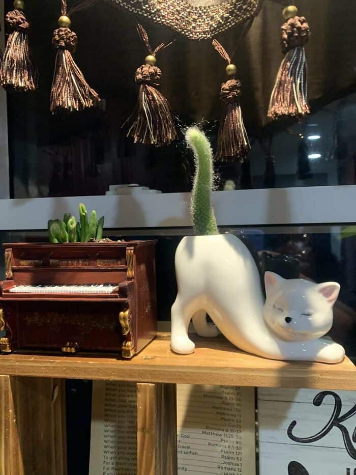 Decorative cat-shaped planter with a cactus on a wooden shelf.