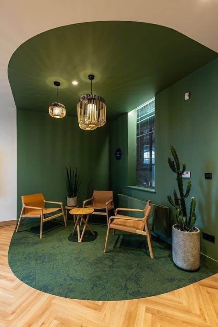 Cozy green lounge with modern chairs, hanging lights, and potted cactus plant.