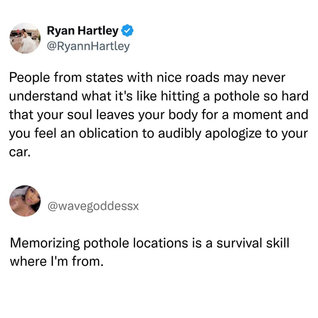 Quote about potholes and survival skills from Ryan Hartley and @wavegoddessx.