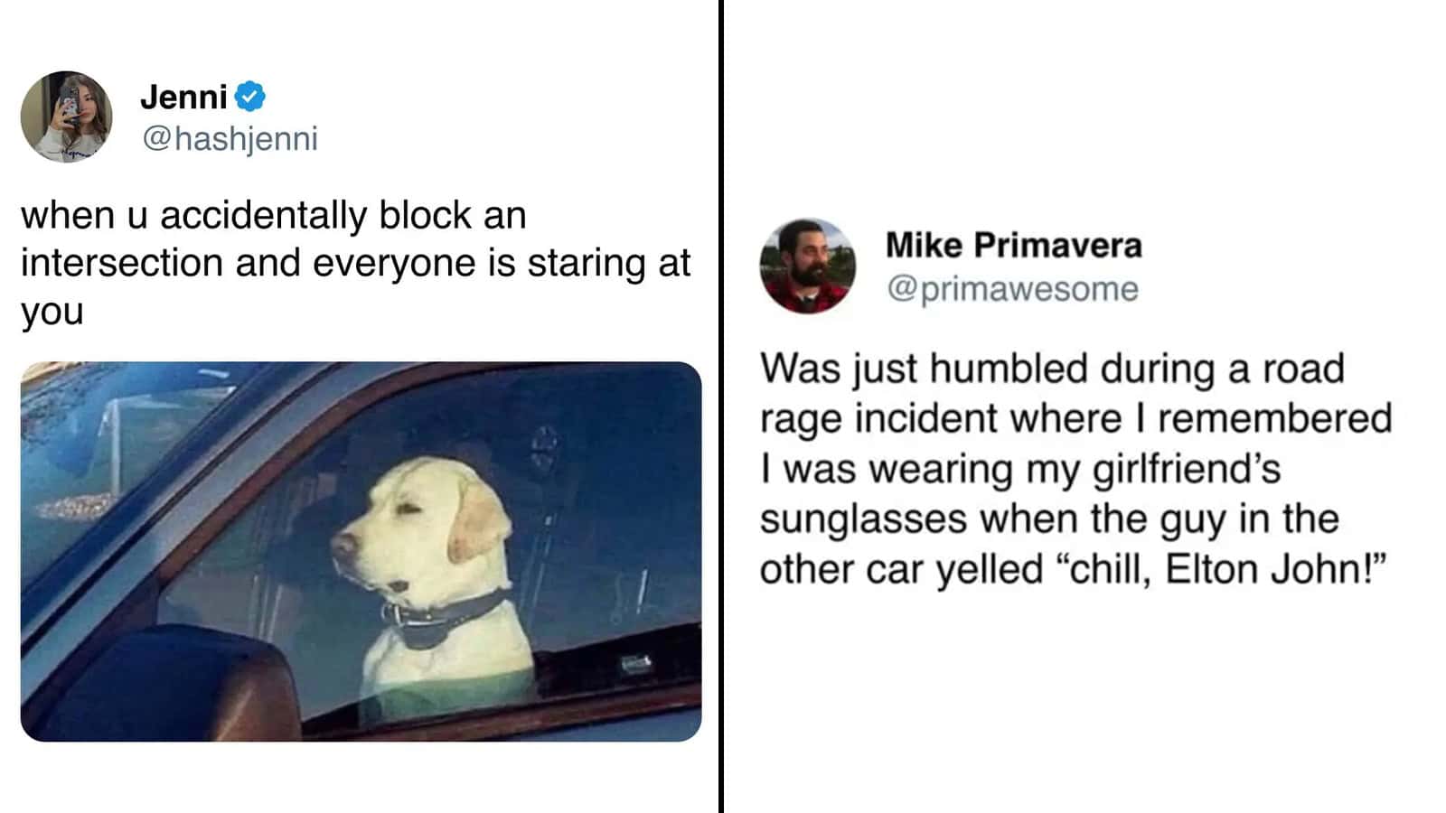 Dog looking out of car window with a humorous caption about blocking an intersection.