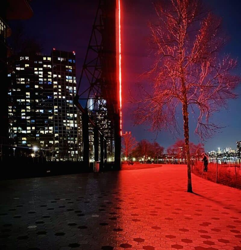 Night cityscape with illuminated buildings and a red-lit tree.