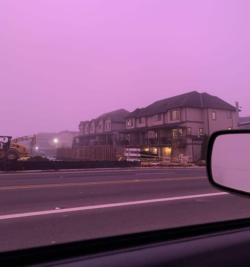 Houses on a street with a pinkish sky, seen from a car window.
