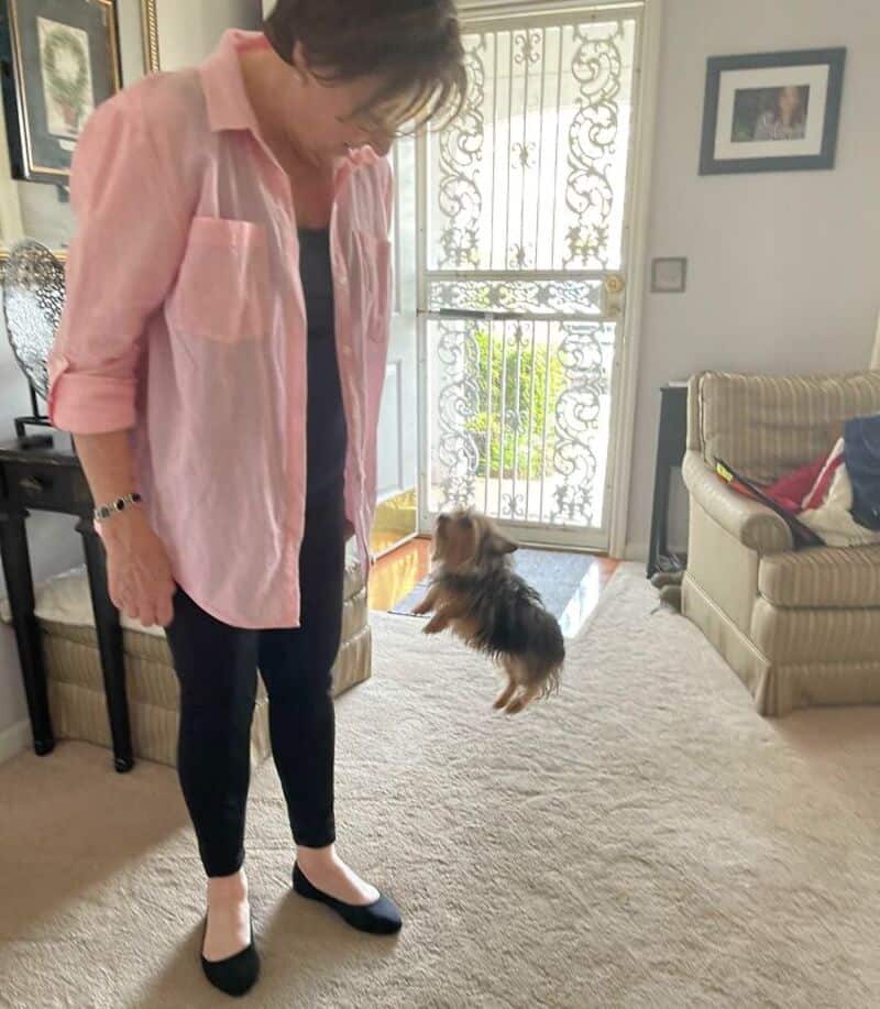 Woman in pink shirt and black pants with small dog jumping in living room.