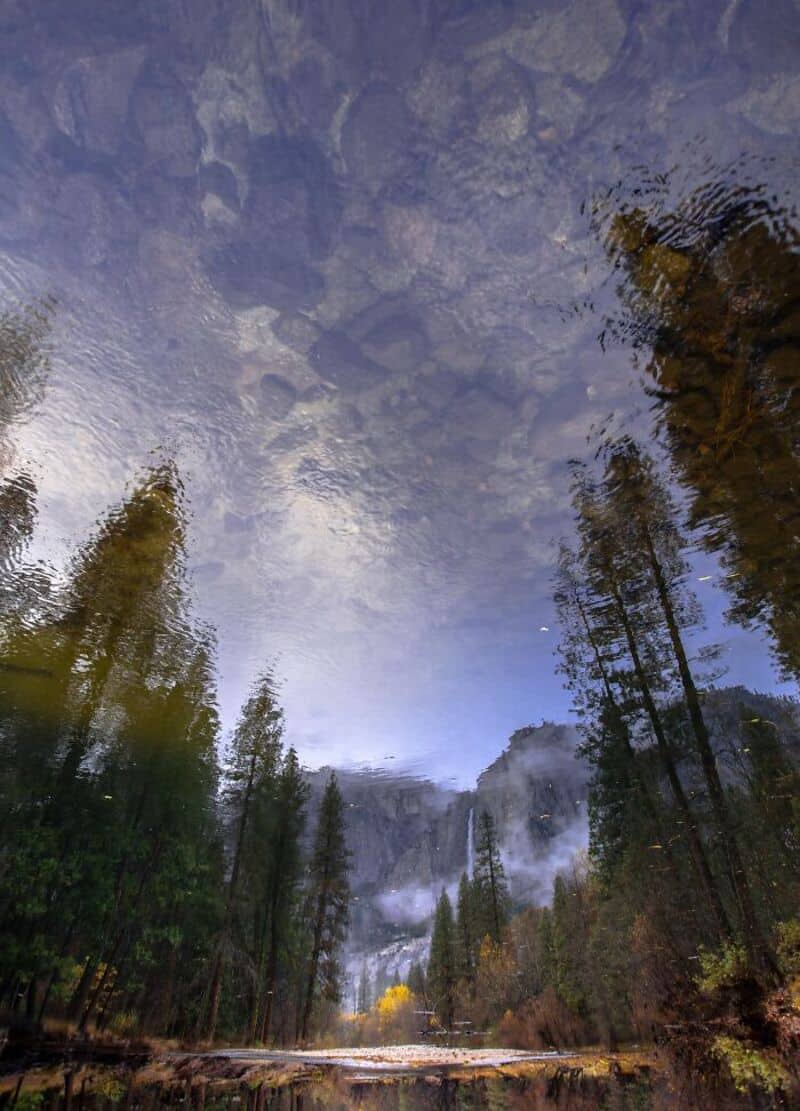 Reflected trees and sky in a river with mountains in the background.