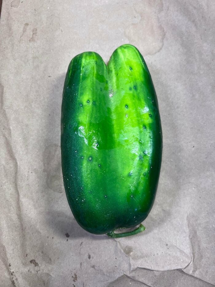 Green cucumber with unusual shape and small bumps on surface.