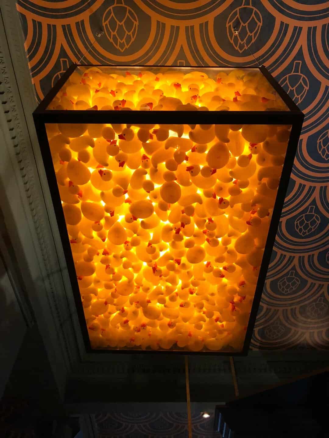 Illuminated rectangular light fixture filled with yellow rubber ducks.