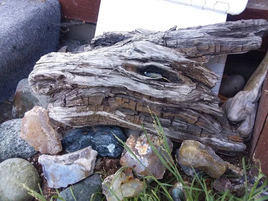 Weathered piece of driftwood among rocks and grass in a garden.