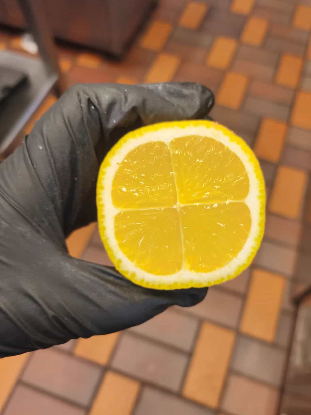 Lemon slice with yellow flesh and white rind held in a black glove.