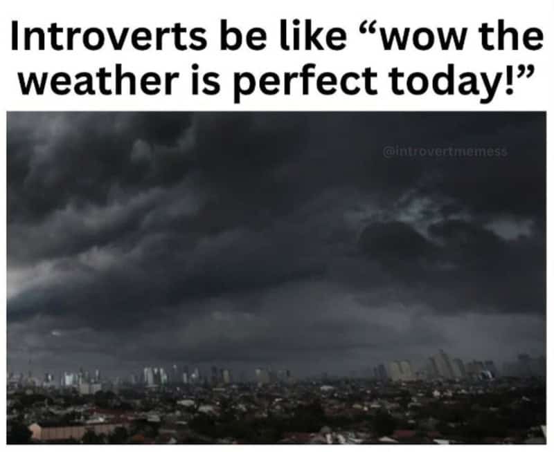 Introverts be like 'wow the weather is perfect today!'.