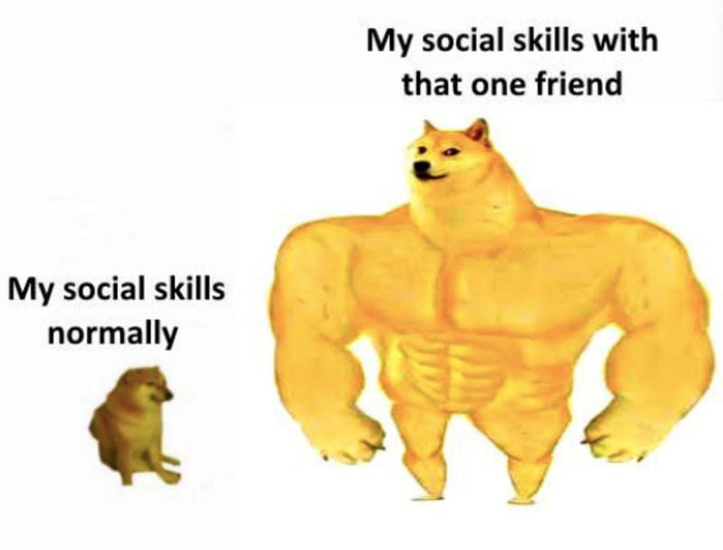  normal dog vs. muscular dog with social skills with one friend.