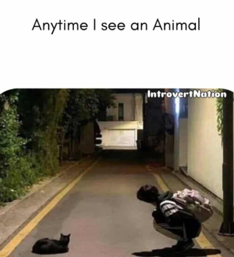 A person crouching down with a backpack, looking at a black cat on the street at night.