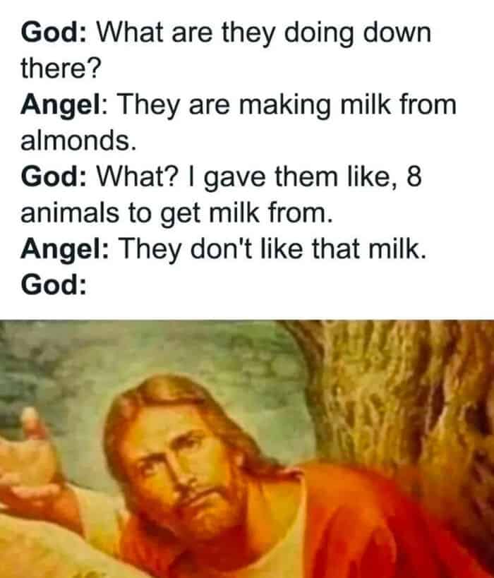 Meme with dialogue between God and Angel about making milk from animals.