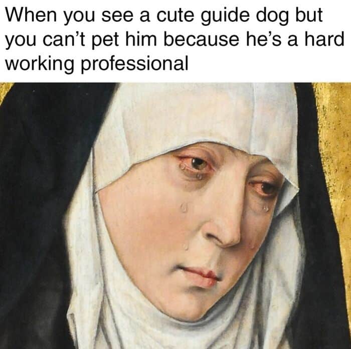 Sad woman with tears, wearing a white head covering, with text about a cute guide dog.