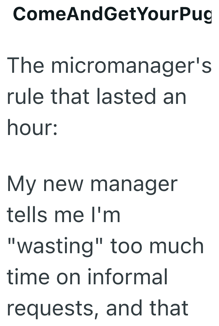 ComeAndGetYourPug - Micromanagers' rule: wasting time on informal requests.
