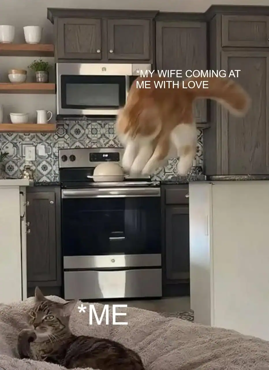 A playful cat jumping into the kitchen stove area with a dog lying on the couch nearby.