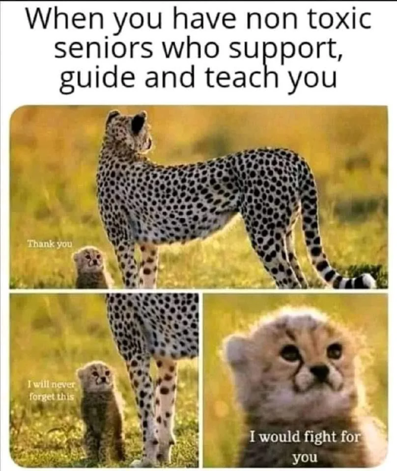 When you have non-toxic seniors who support, guide and teach you.
