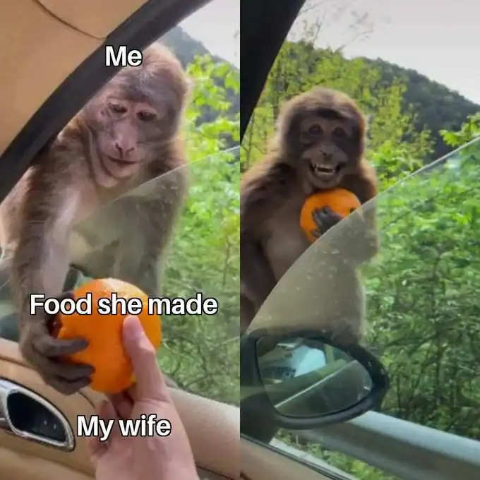 "Me" monkey holding a fruit, "Food she made" text, and "My wife" label.
