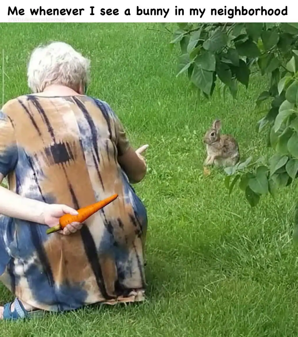 Me whenever I see a bunny in my neighborhood.