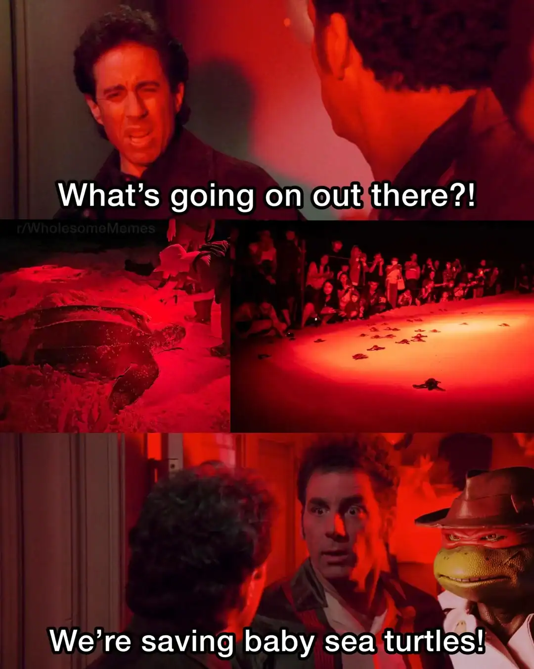 What’s going on out there?!.