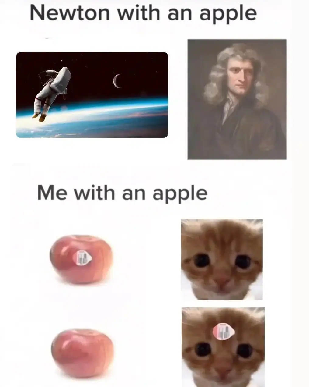 Astronaut in space and portrait of Isaac Newton; apple and kitten with apple sticker on face.