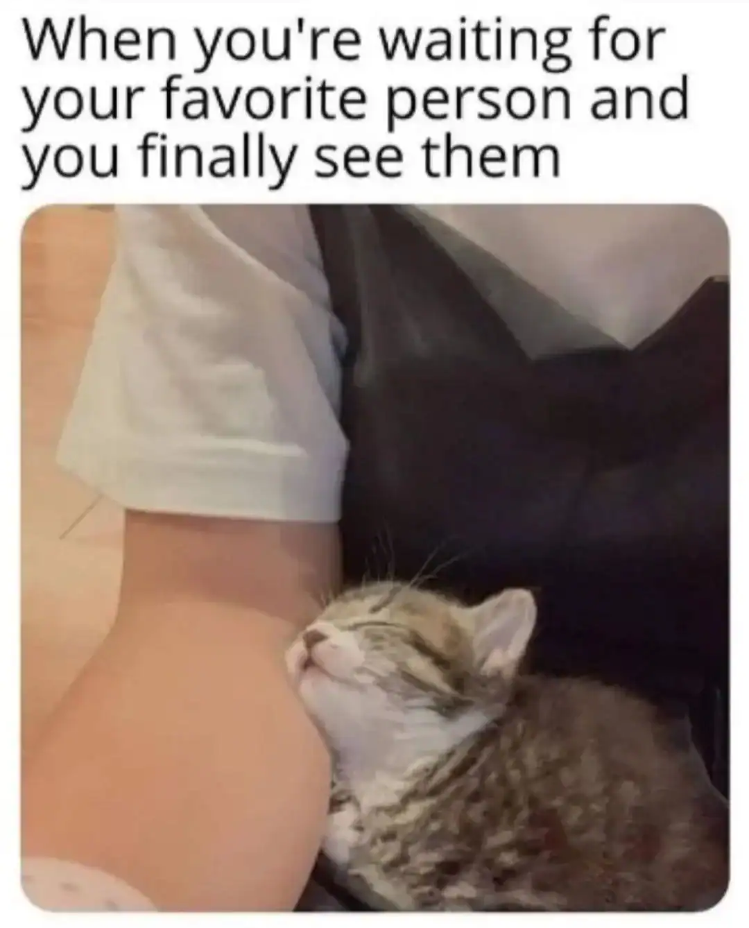 When you're waiting for your favorite person and you finally see them.