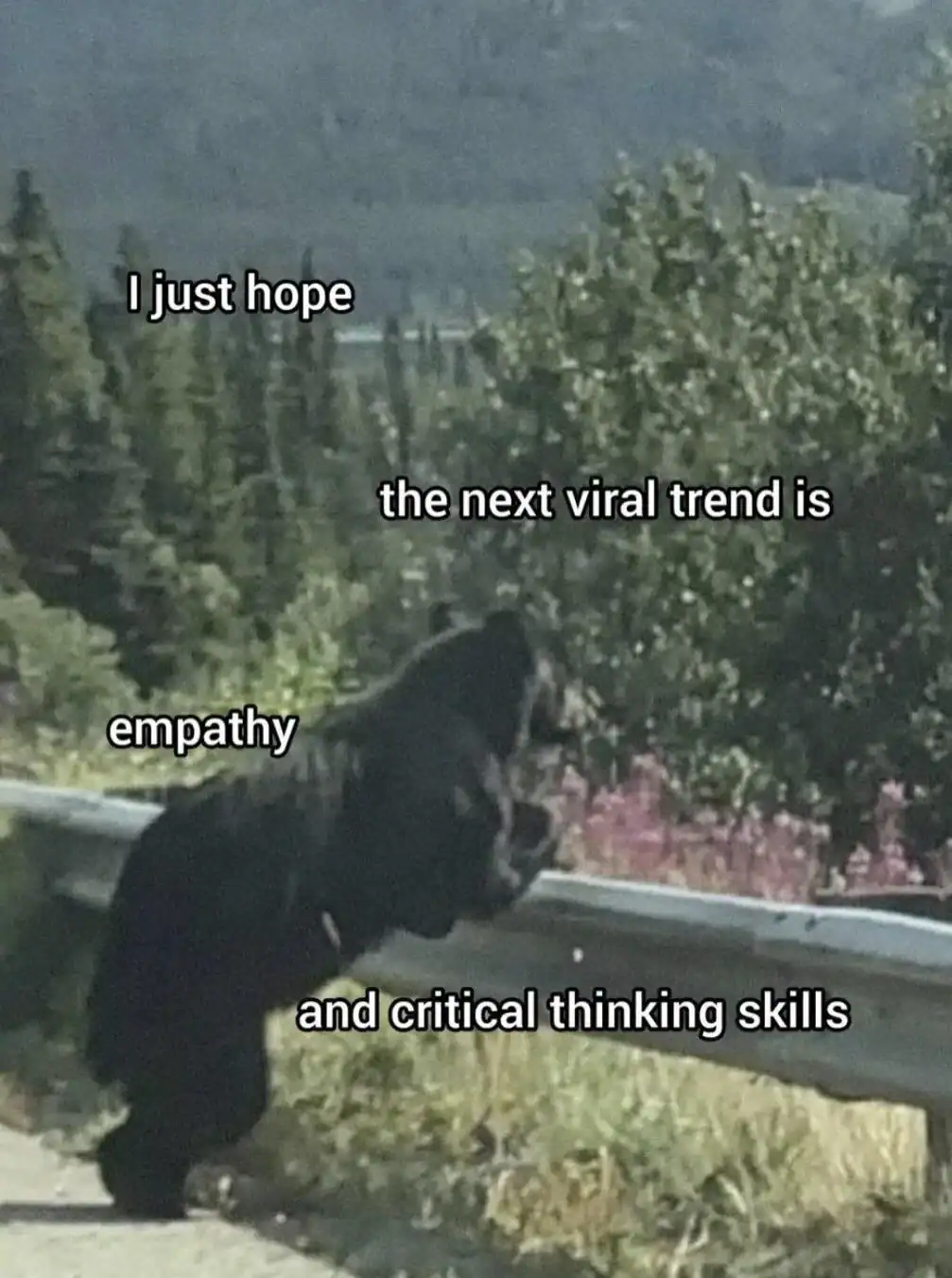 I just hope the next viral trend is empathy and critical thinking skills.