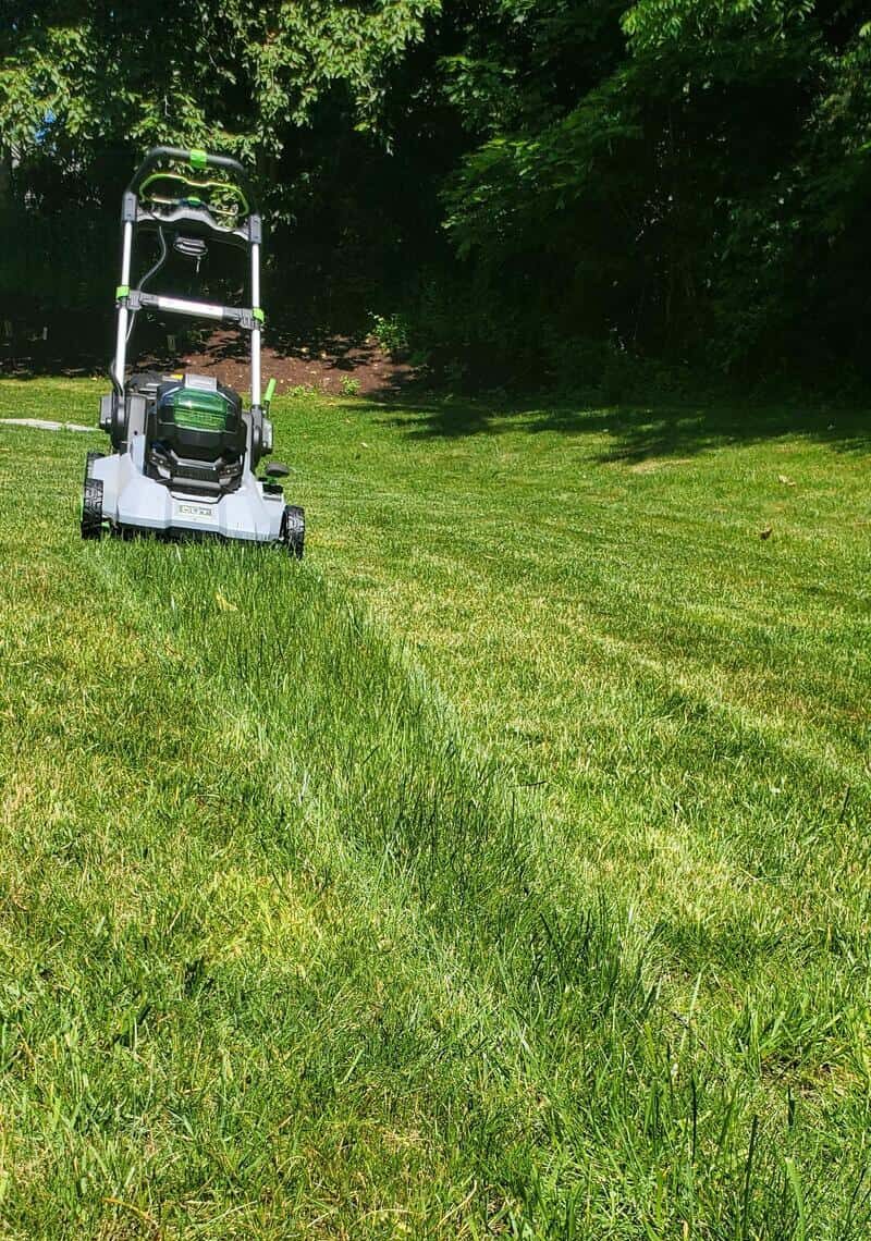 A lawn mower cutting grass in a backyard with trees in the background.
