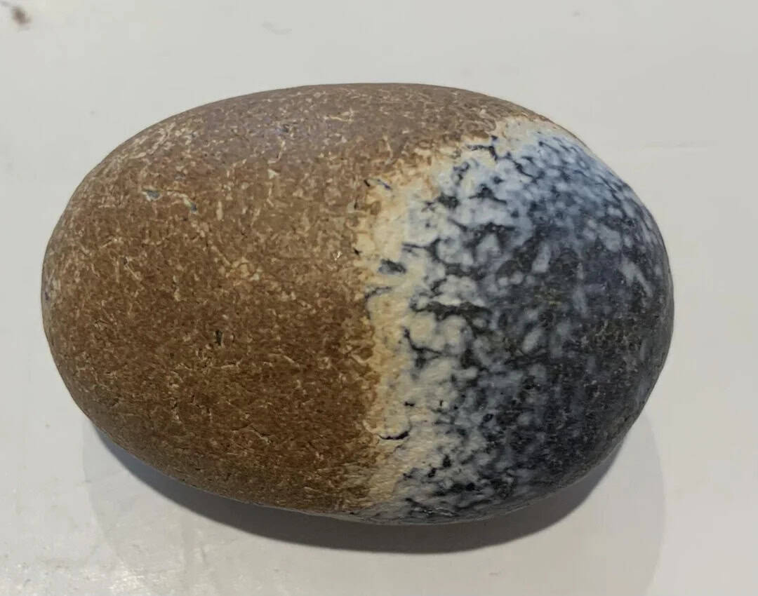 Smooth oval stone with brown and black and white markings, on a white surface.