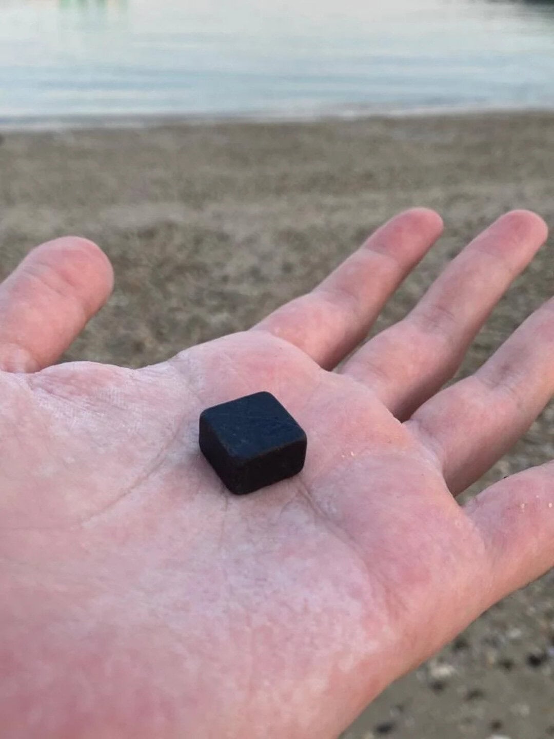 A black square object on a person's open palm at the beach.