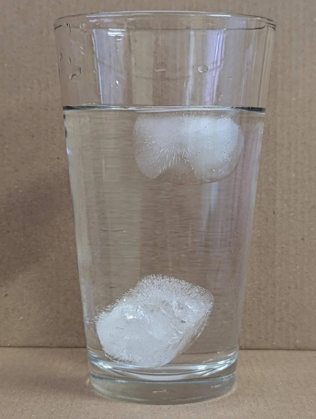 Ice cubes floating in a glass of water.