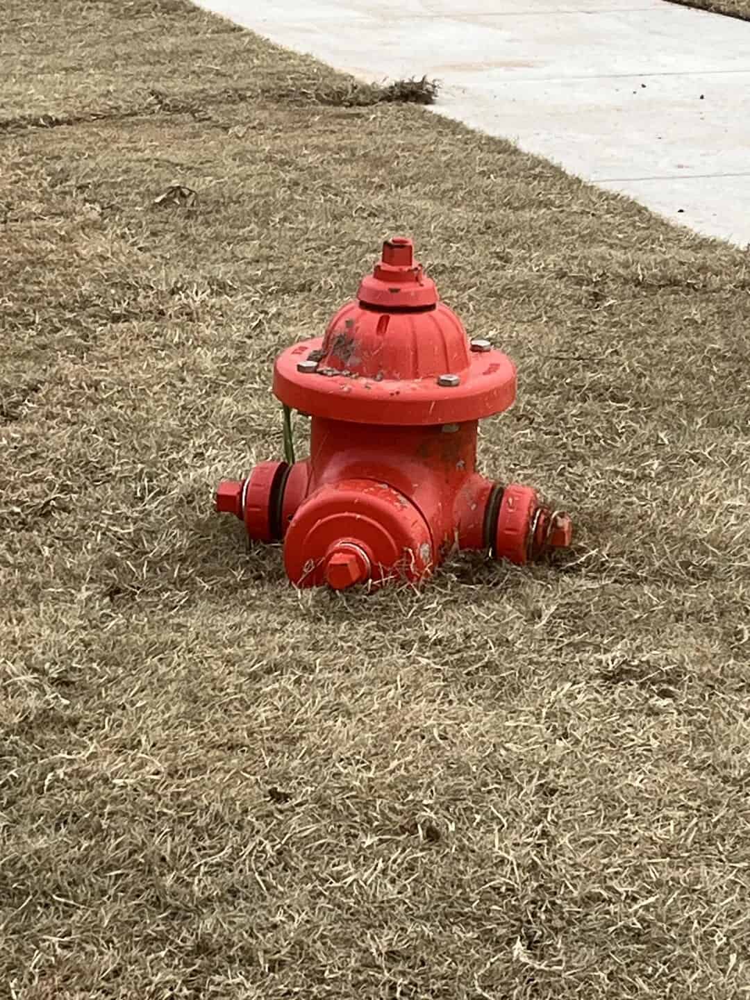 Fire hydrant on a patch of grass near a sidewalk.