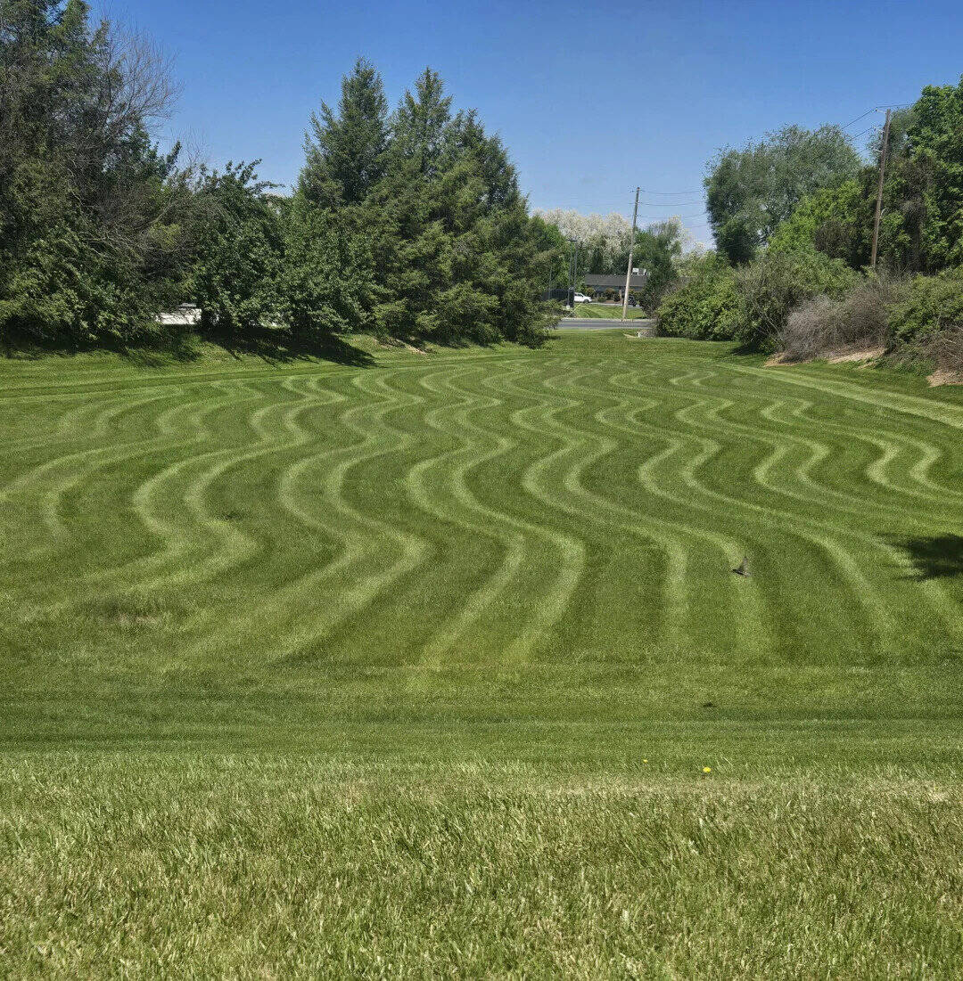 Lush green lawn with striped mowing pattern under a clear blue sky.