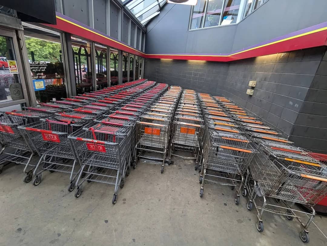 Shopping carts lined up outside a store under a glass roof.