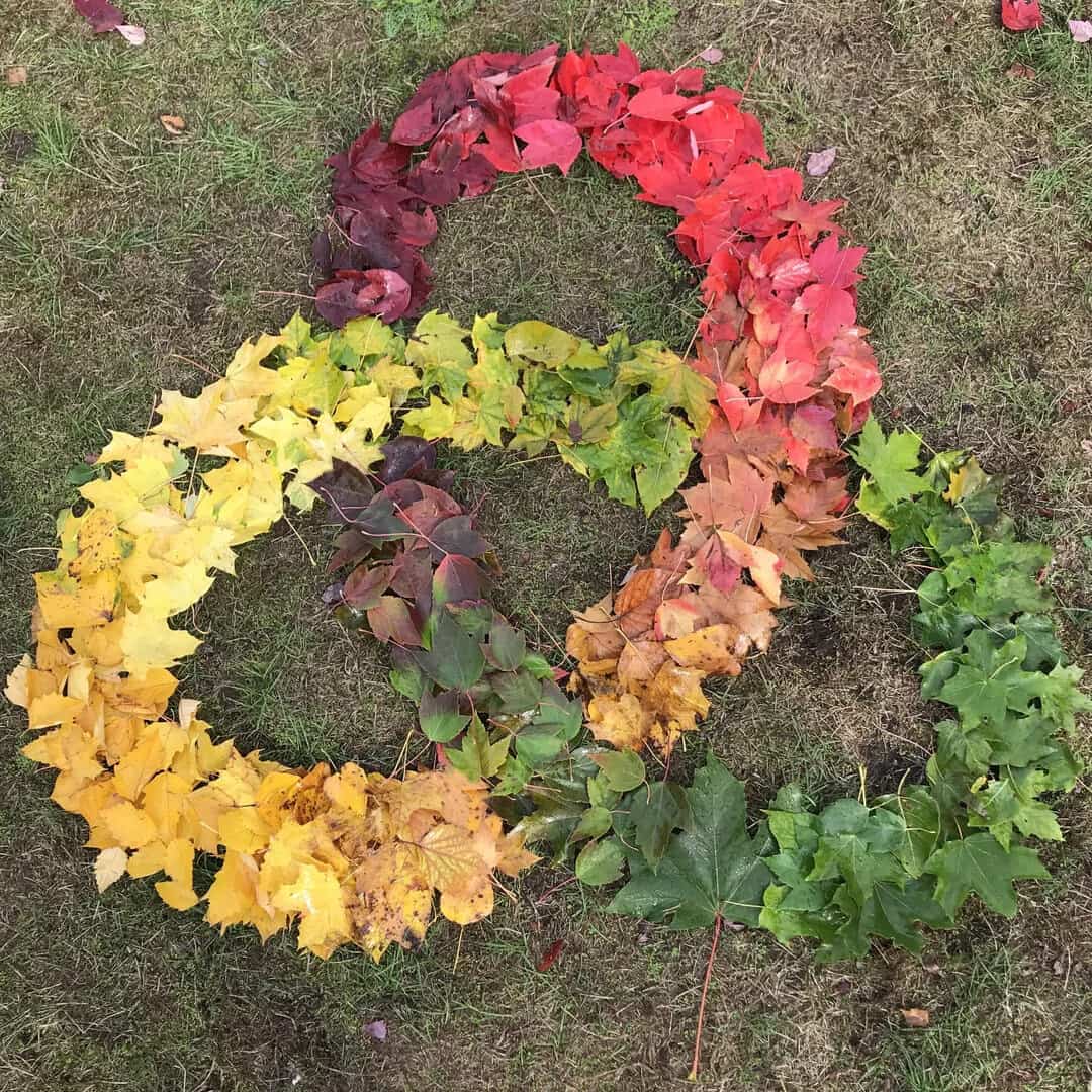 Yellow, red, and green autumn leaves arranged in a heart shape on grass.