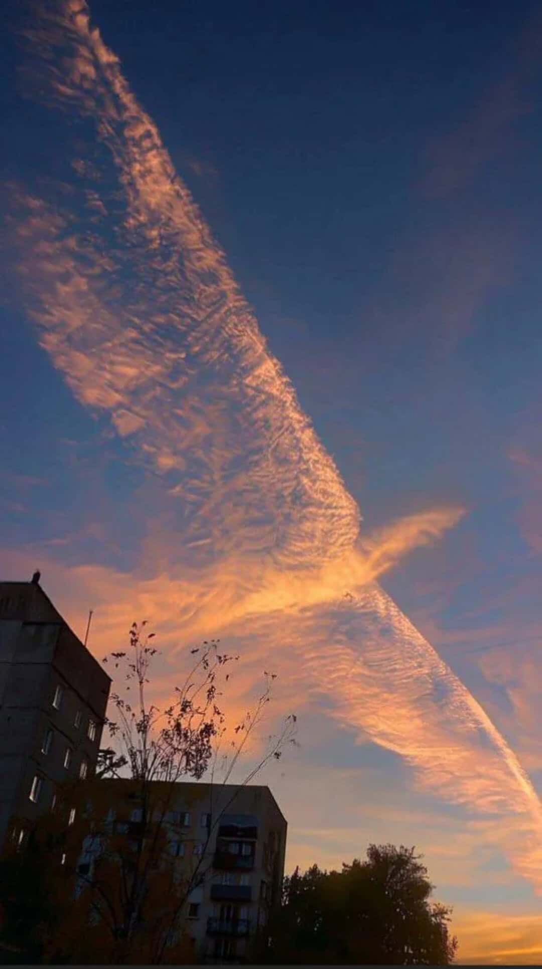 Sunset sky with orange clouds and contrail over city buildings.