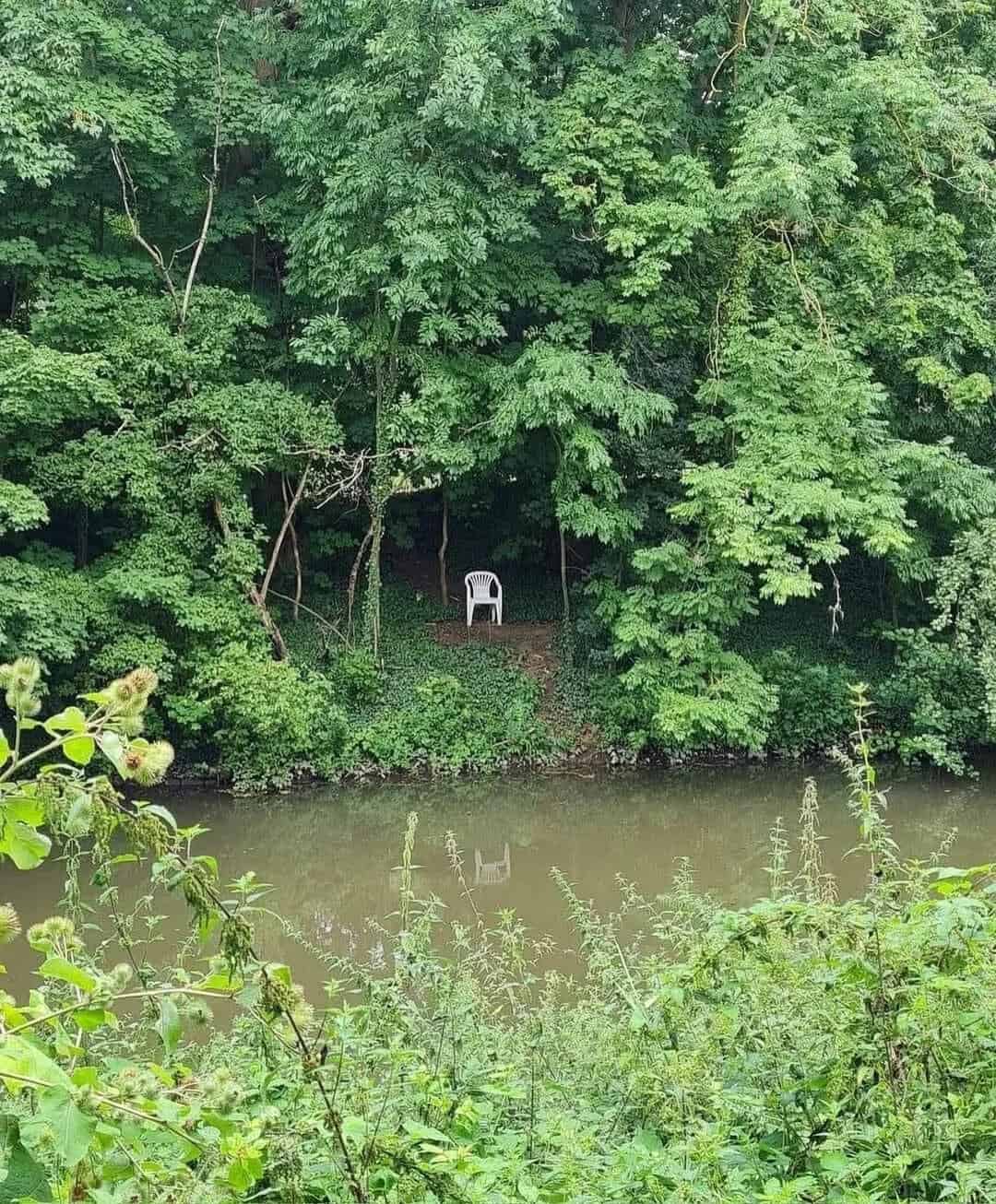  Empty white chair on forest edge by water, lush green trees background.