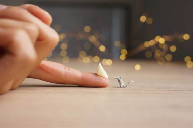 Miniature hand with a finger touching a tiny dinosaur figure on a wooden surface.