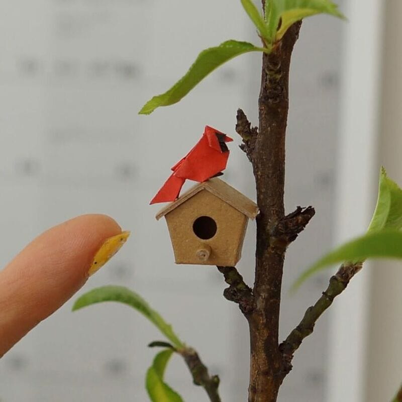 Miniature birdhouse on a tree branch with a red paper bird on top, finger pointing at it.