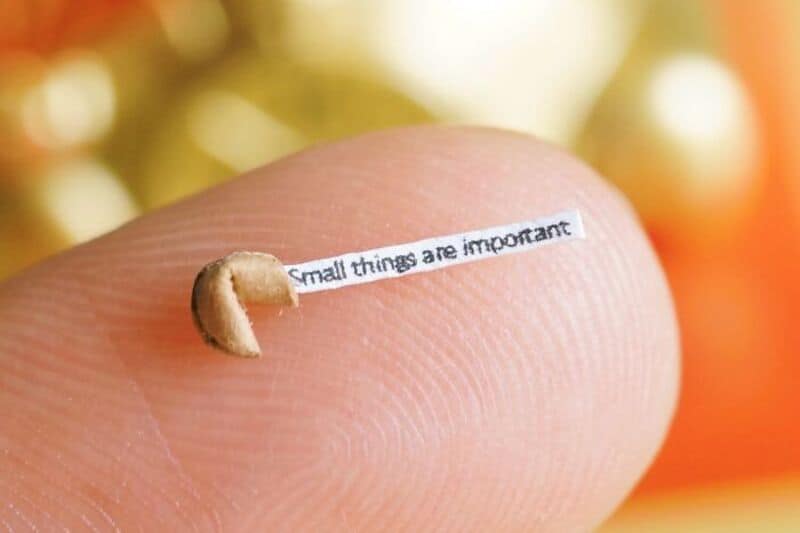 Close-up of a tiny mushroom on a fingertip with a quote about small things.
