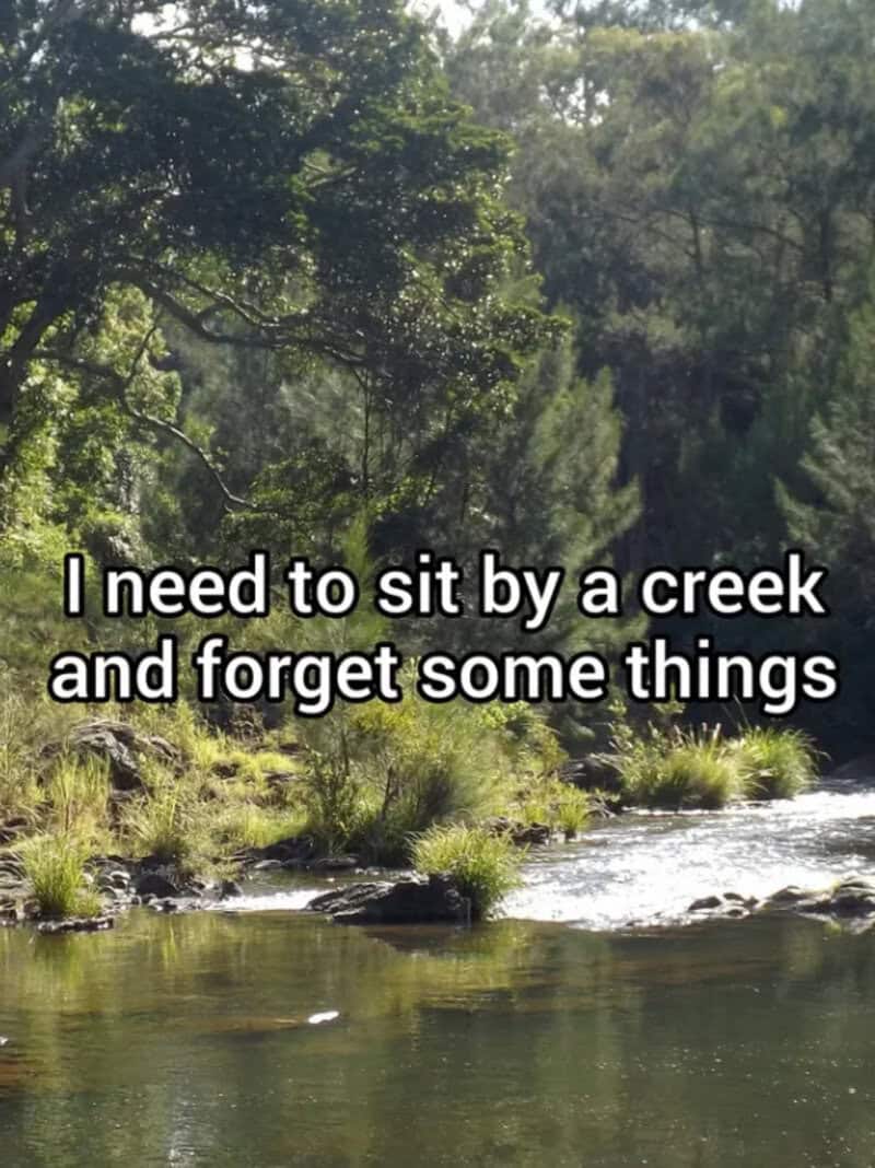 I need to sit by a creek and forget some things.
