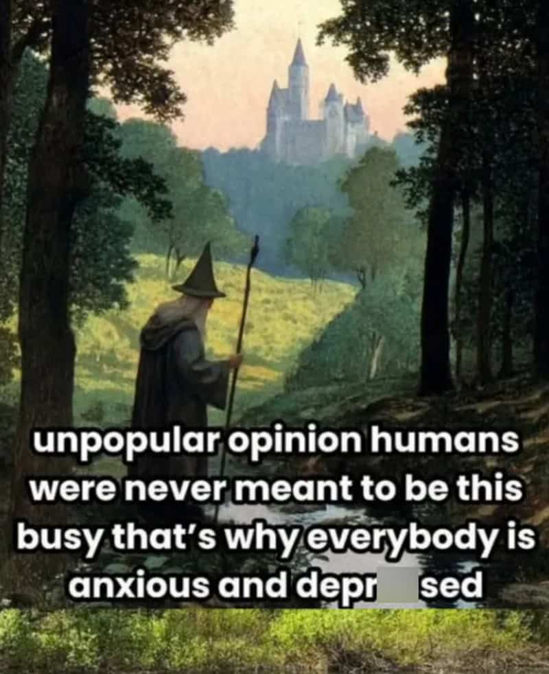 A wizard with a staff in a forest with a castle in the background, with text about human opinions.
